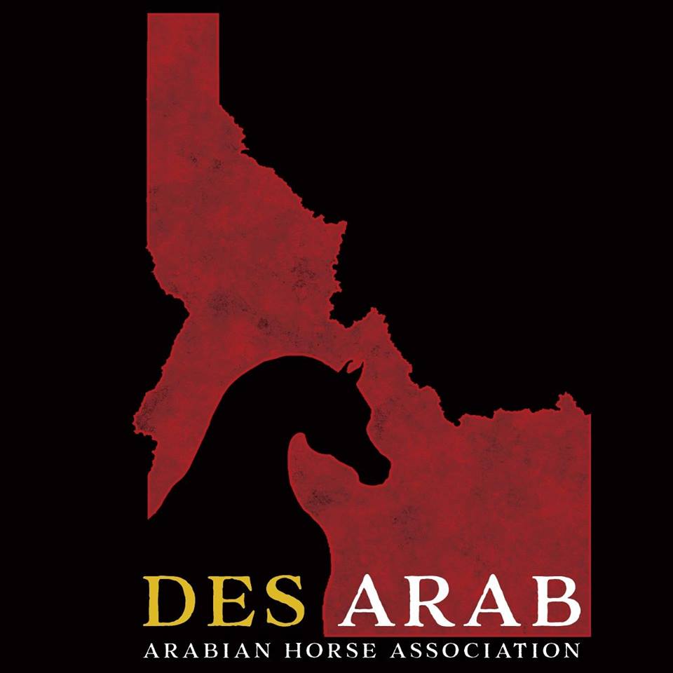 Des Arab Arabian Horse Association